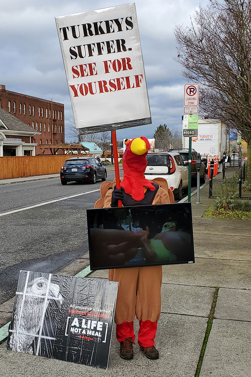 Protester holding video and sign: Turkeys suffer: see for yourself.