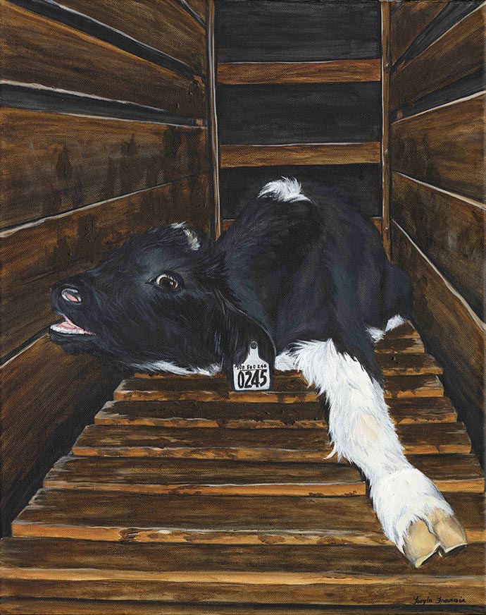 Painting of a calf in a dairy crate