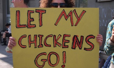 Protesters sign: Let my chickens go!