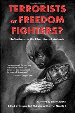 Terrorists or Freedom Fighters book cover