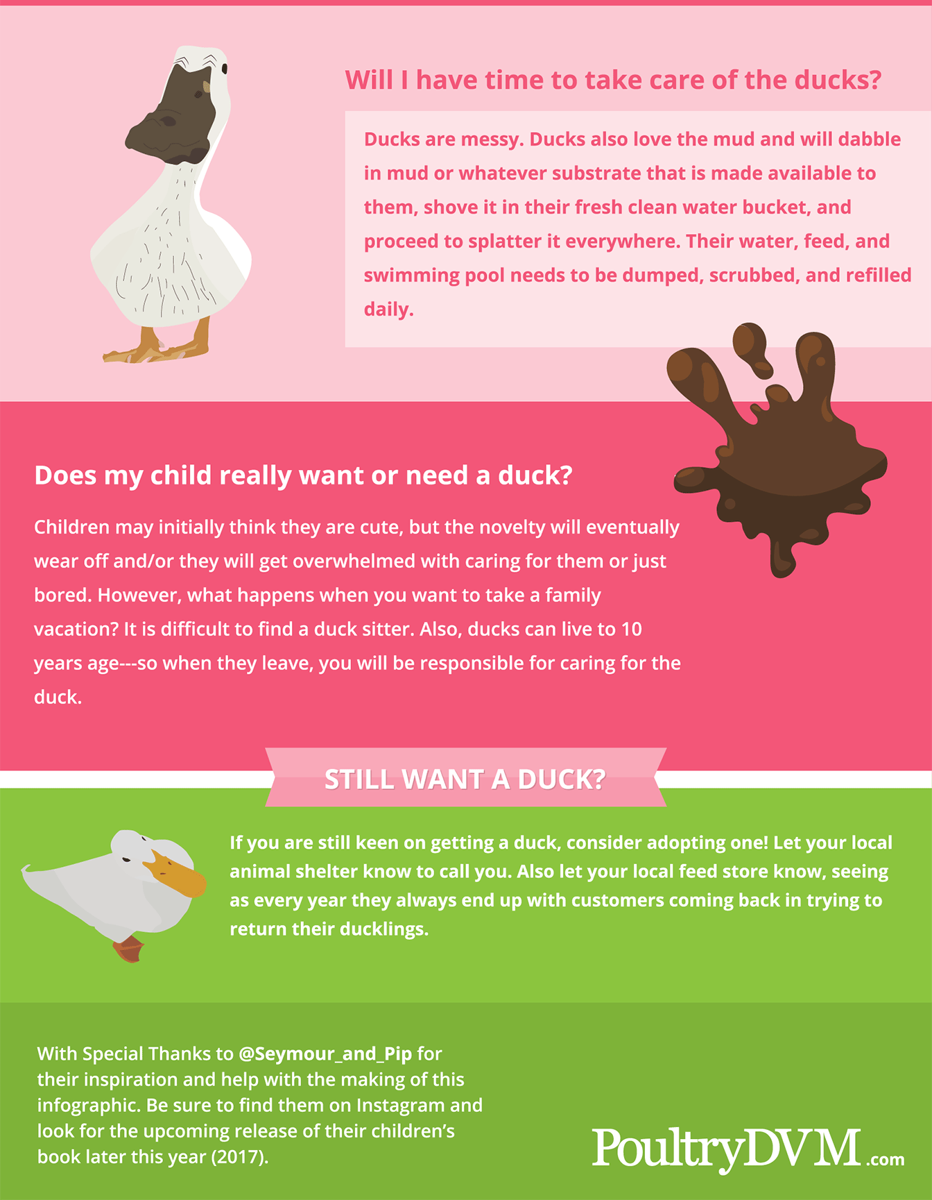 Ducklings are not Easter toys infographic