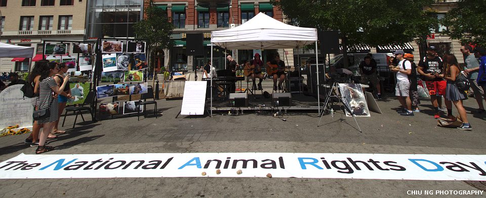National Animal Rights Day 2016 