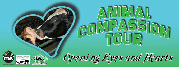 Animal Compassion Tour