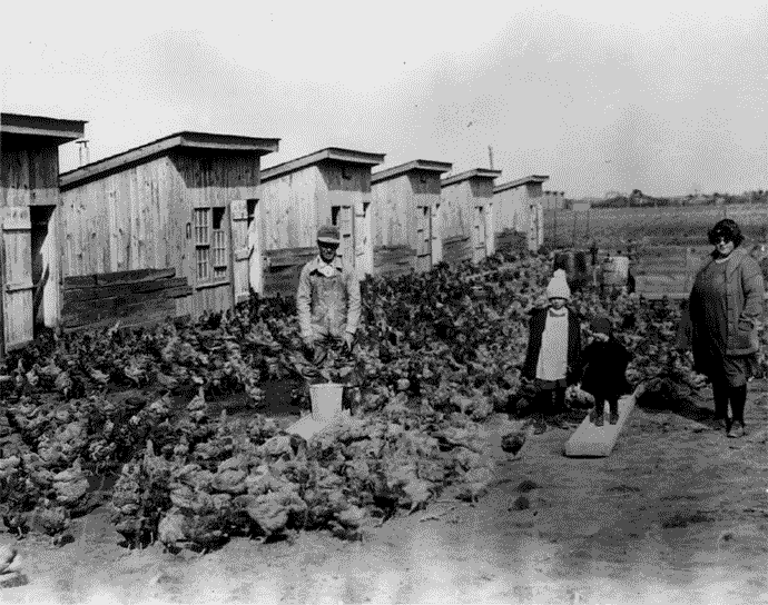 The Steele family with their broiler operation in 1924.