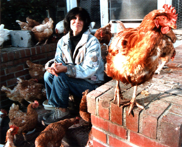 Photo of Karen Davis and sanctuary chickens by The Washington Post