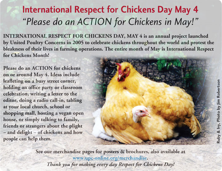 International Respect for Chickens Day May 4