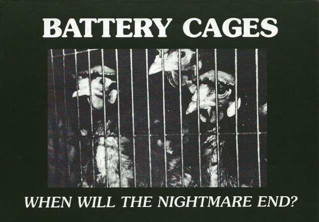 battery cages nightmare
