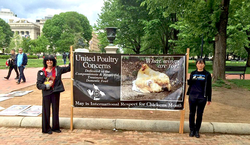 Karen and Liqin holding a 'International Respect for Chickens Month' banner by the White House.