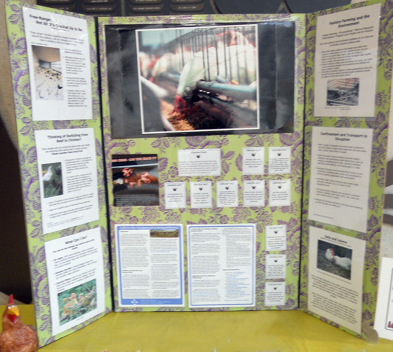 Niagara Action for Animals library display