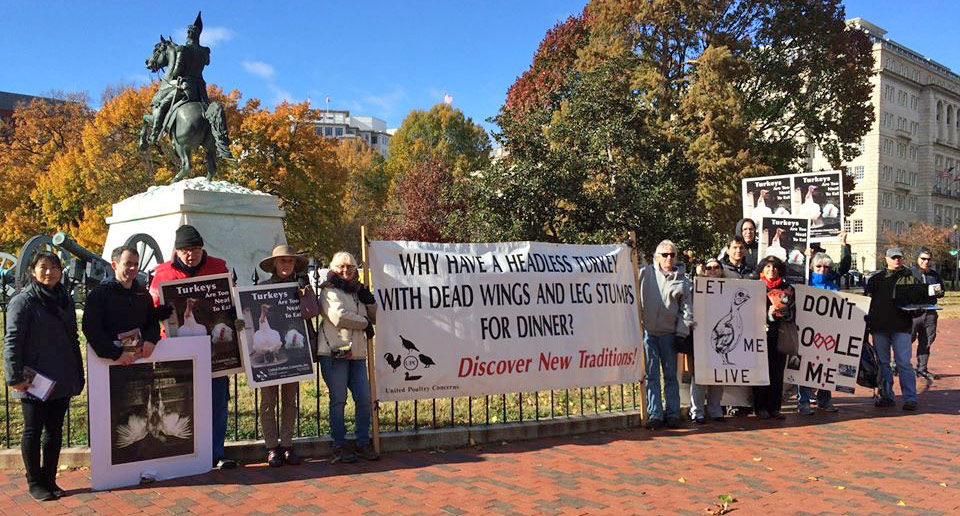 Protestors demonstrating near the White House in Washington DC