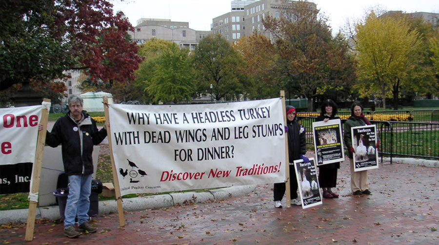 UPC Protest for Turkeys at White House