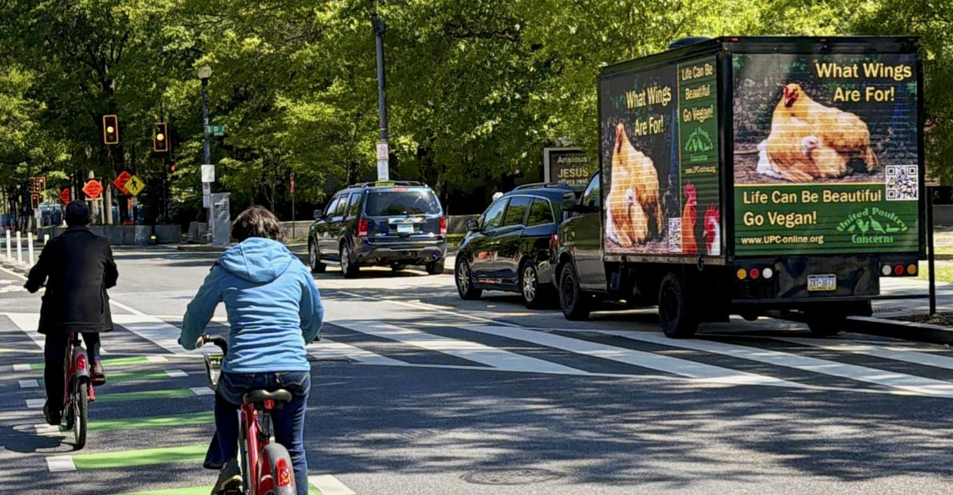 Truck with 'What wings are for' posters of hen with chick