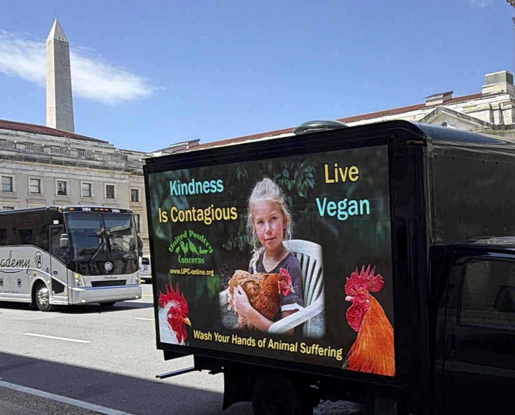 Truck with 'Kindness is Contagious' and 'Live Vegan' sign