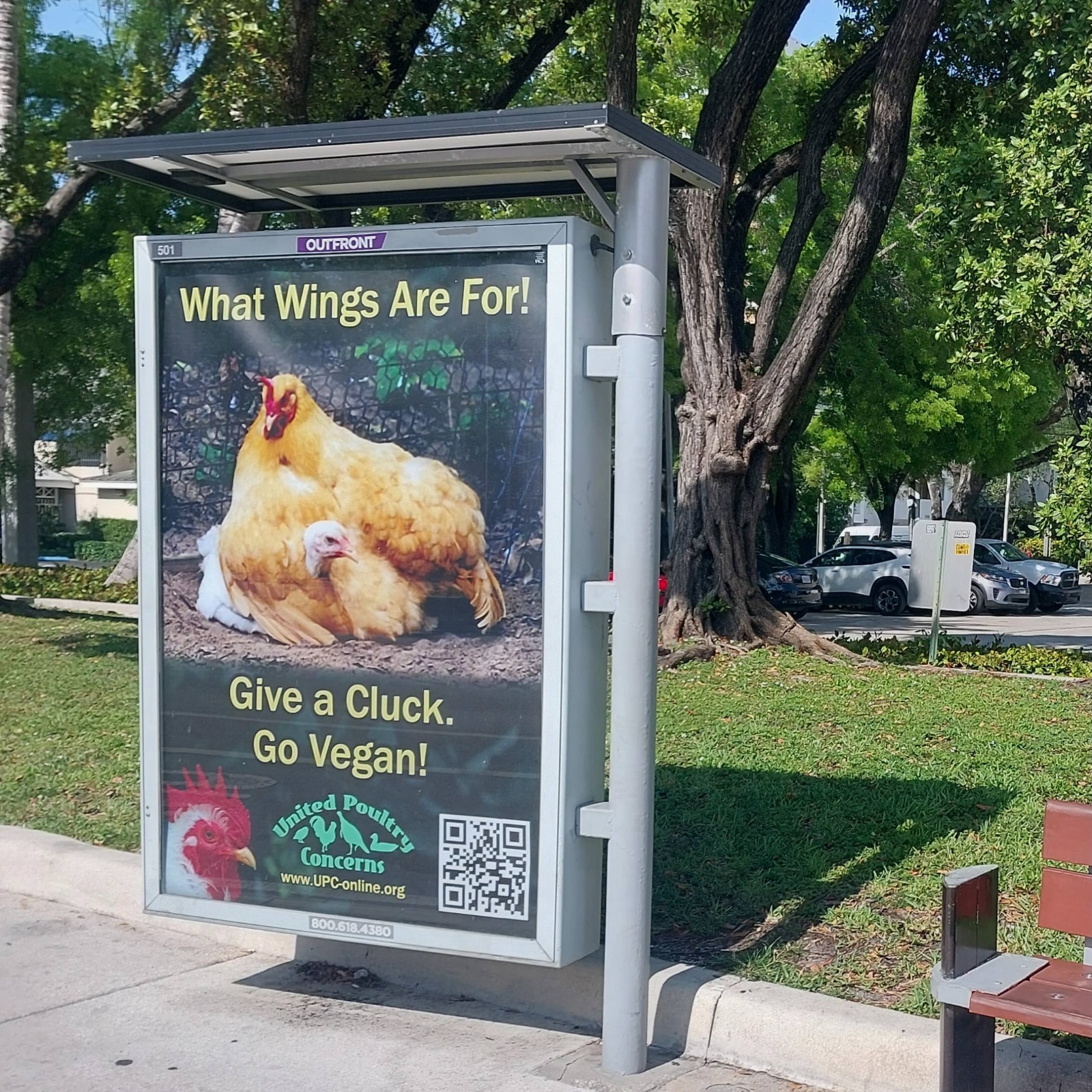 What wings are for poster of hen with chick
