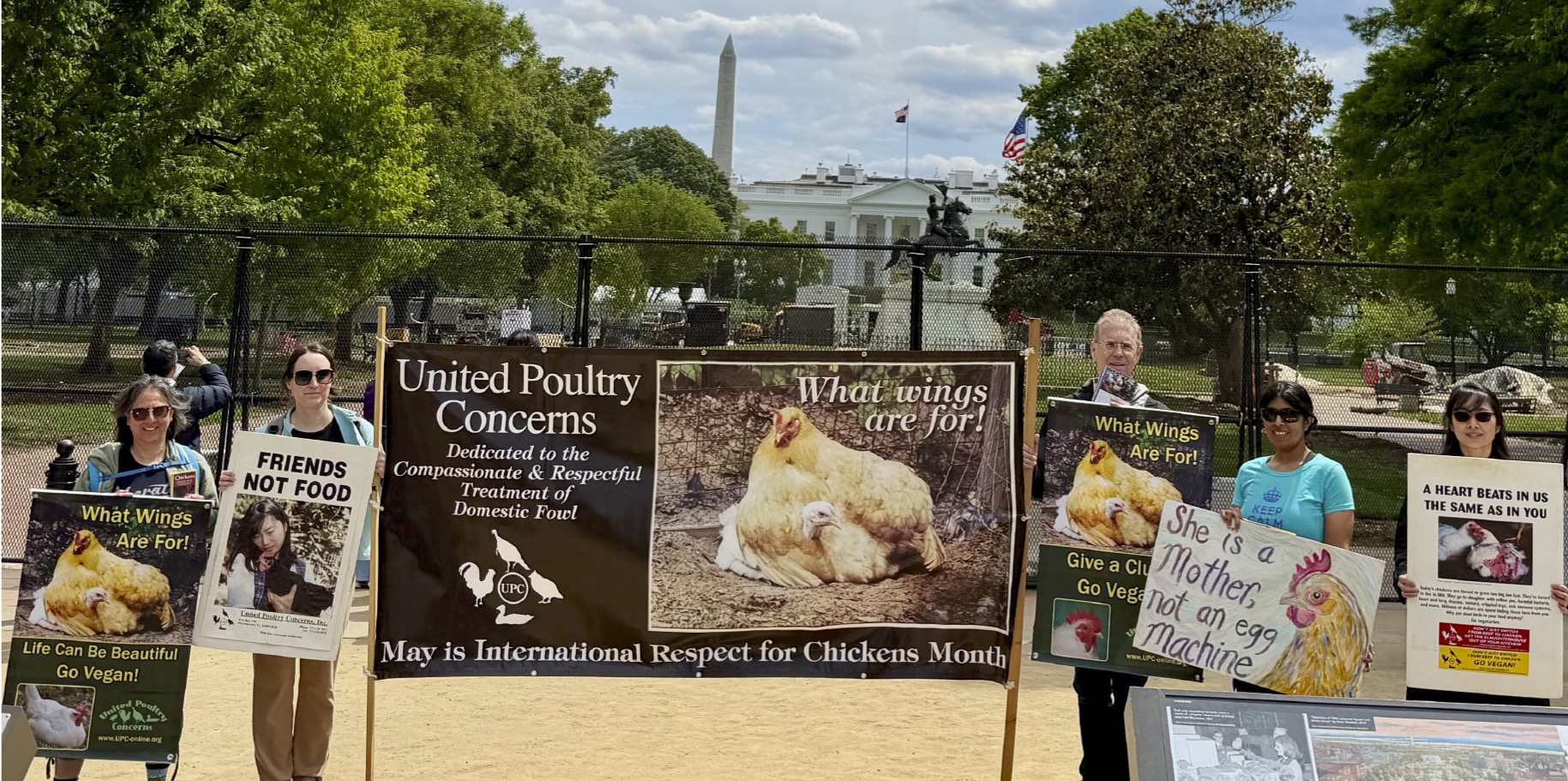Protestors with signs in front of the White House