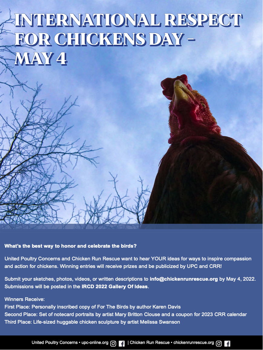 International Respect for Chickens poster feature Raj the rooster