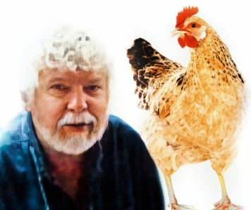 Collage of Norm Phelps with a chicken