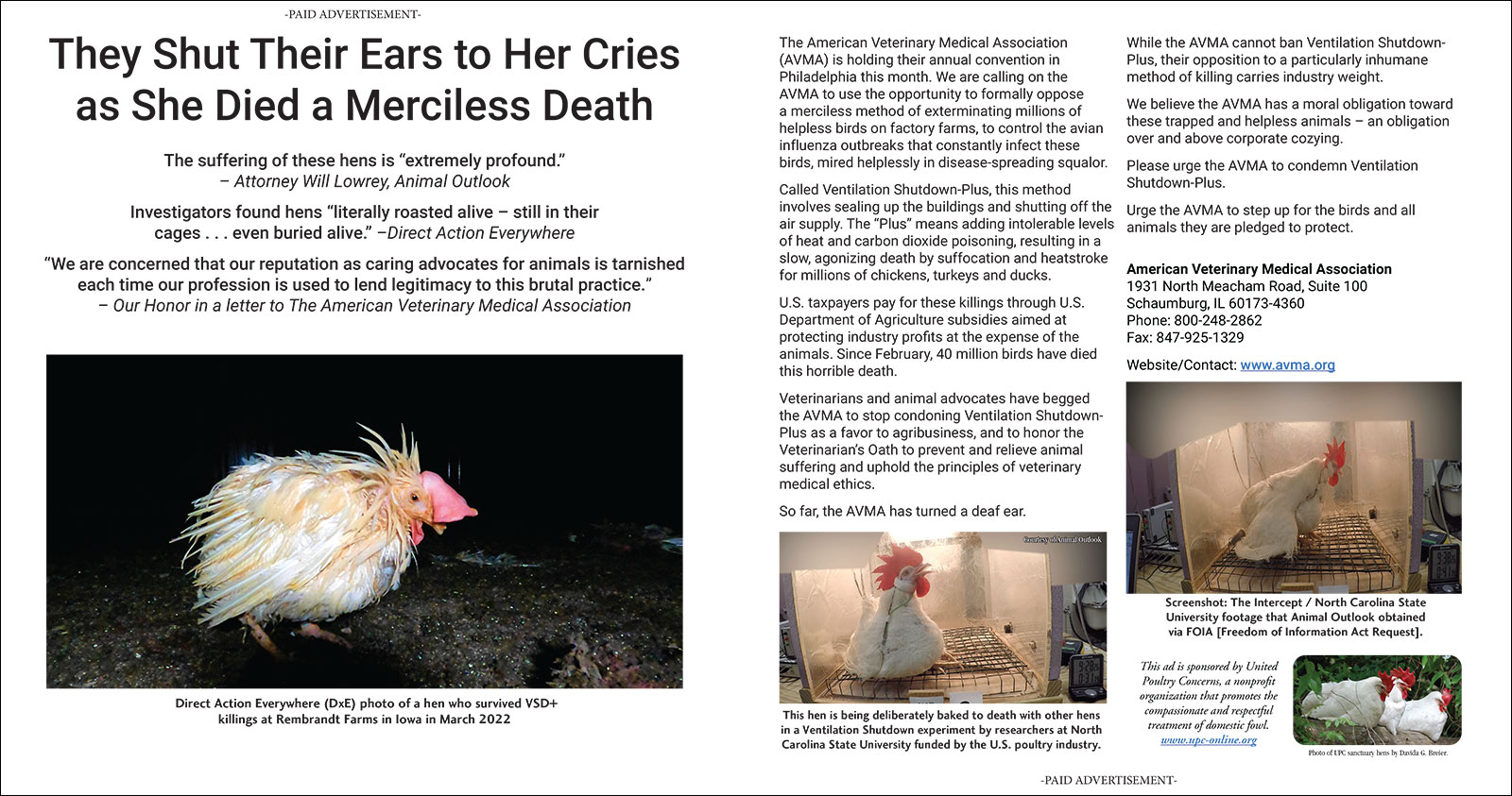 They Shut Their Ears to Her Cries as She Died a Merciless Death - Center Spread