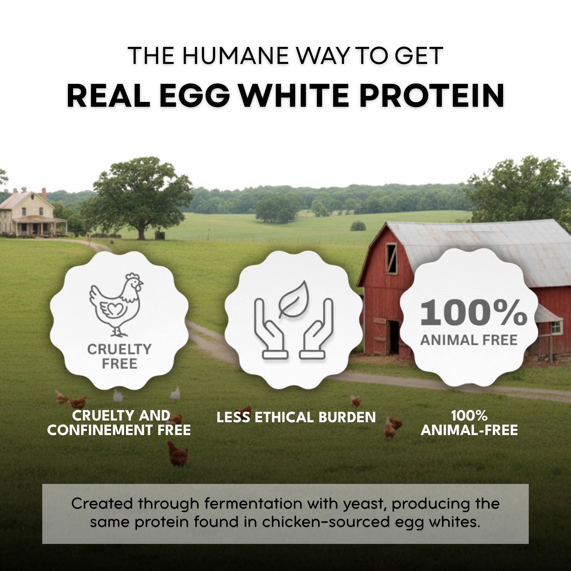 Poster: The Humane Way to get real agg white protein. Created through fermentation 
		with yeast, producing the same protein found in chicken-sourced egg whites.