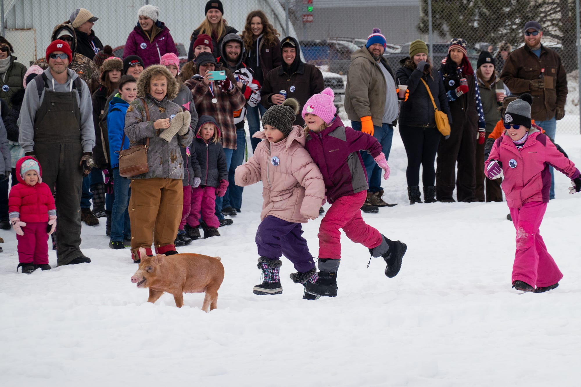 Three children chasing a piglet in the snow.