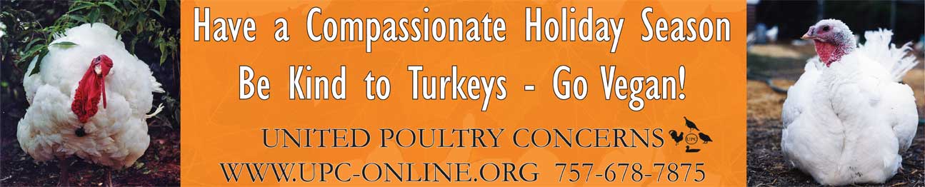 Have a Compassionate Holiday Season - Be Kind to Turkeys - Go Vegan!