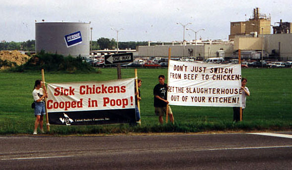 Perdue Slaughterhouse