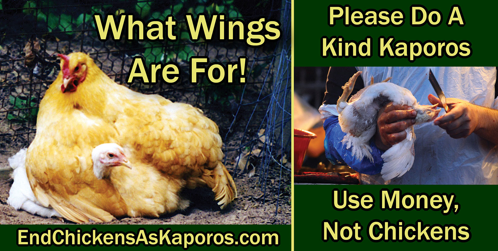 Poster urging people to use money instead of live chickens for the traditional Kaporos atonement ritual