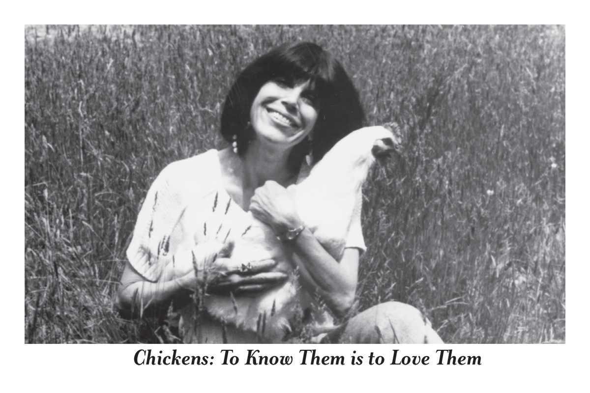 Chickens: To Know Them is to Love Them