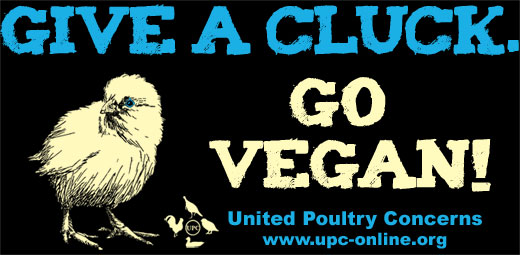 give a cluck go vegan tshirt