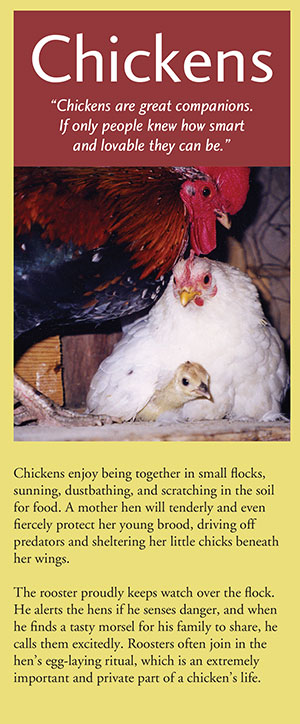 Chickens Brochure