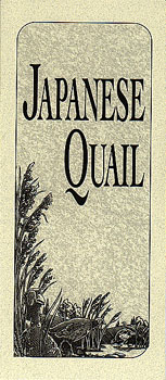 Japanese Quail