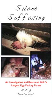 Silent Suffering