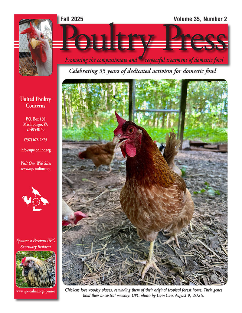 UPC Fall 2025 Poultry Press