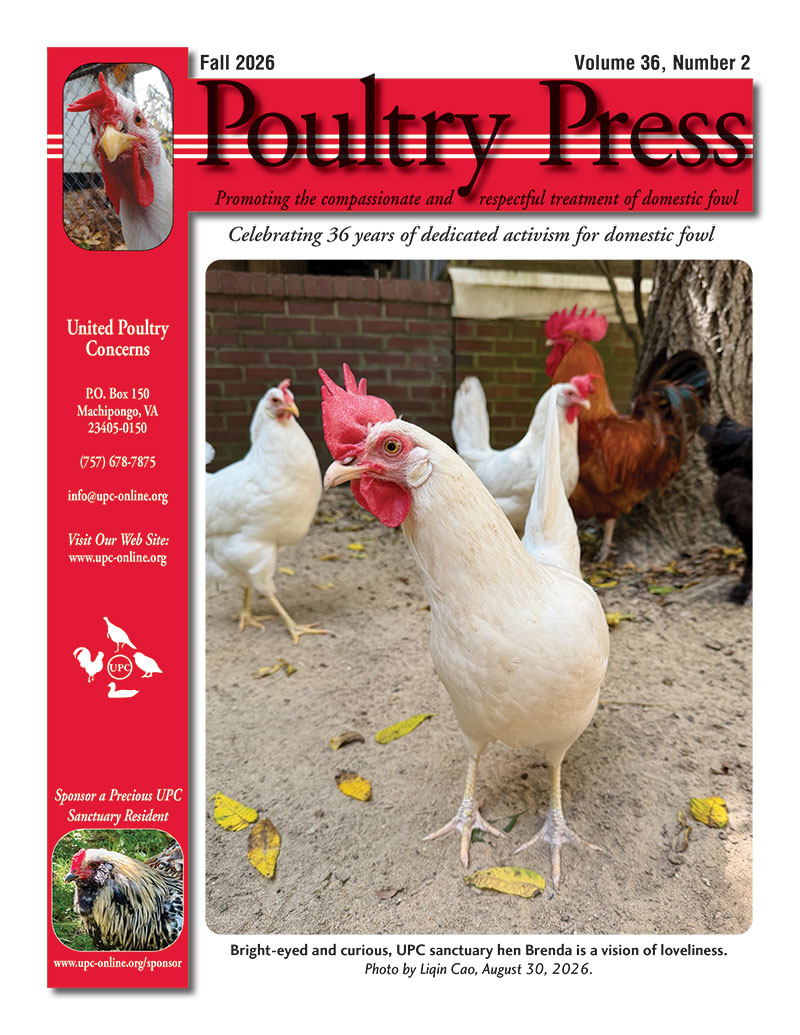 UPC Spring-Summer 2026 Poultry Press
