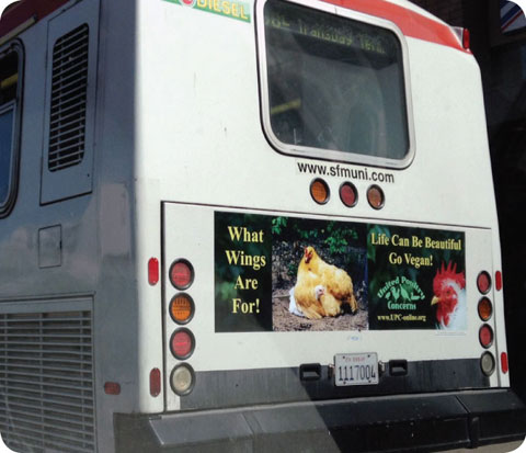 sf go vegan bus ad2