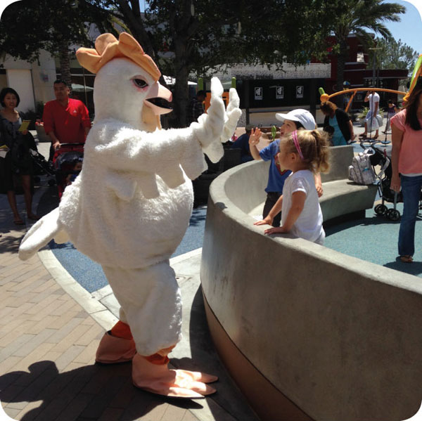 ircd sd high five chicken