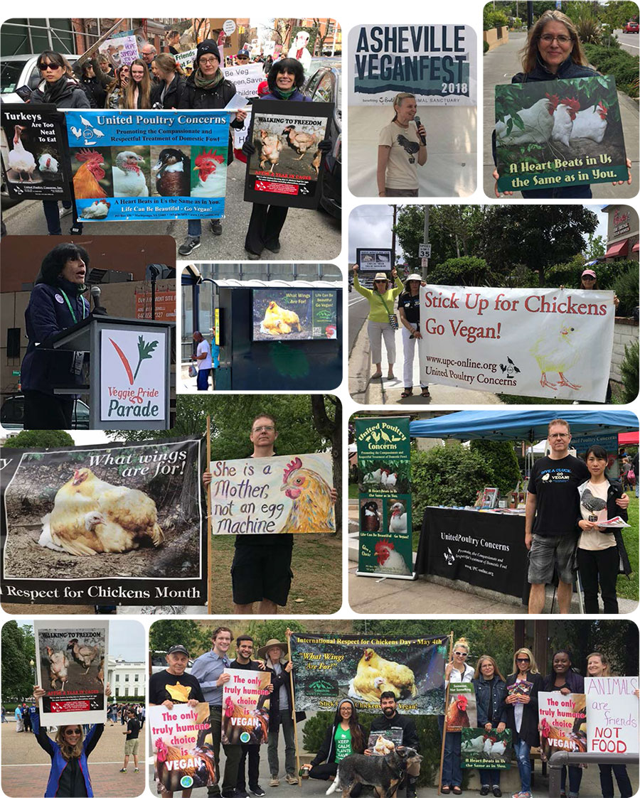 UPC Activities Photo Gallery