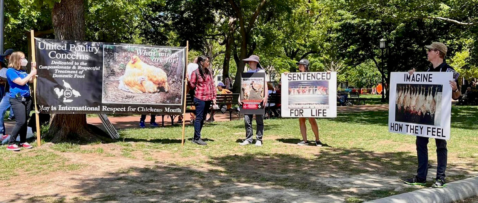 White House Leafleting