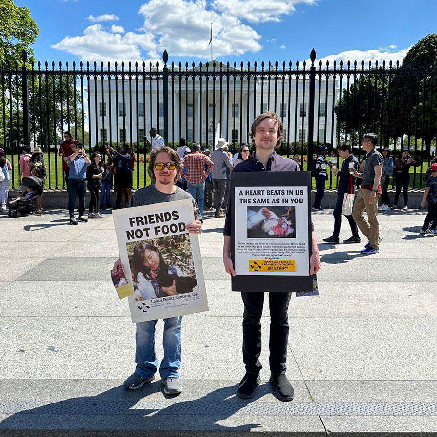  White House Leafleting