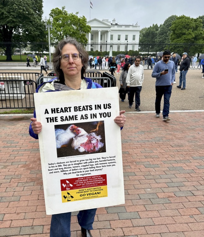 White House Leafleting