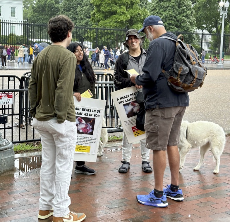 White House Leafleting
