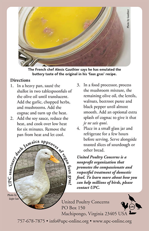 Ask Restaurants to Switch to Vegan Faux Gras - Back