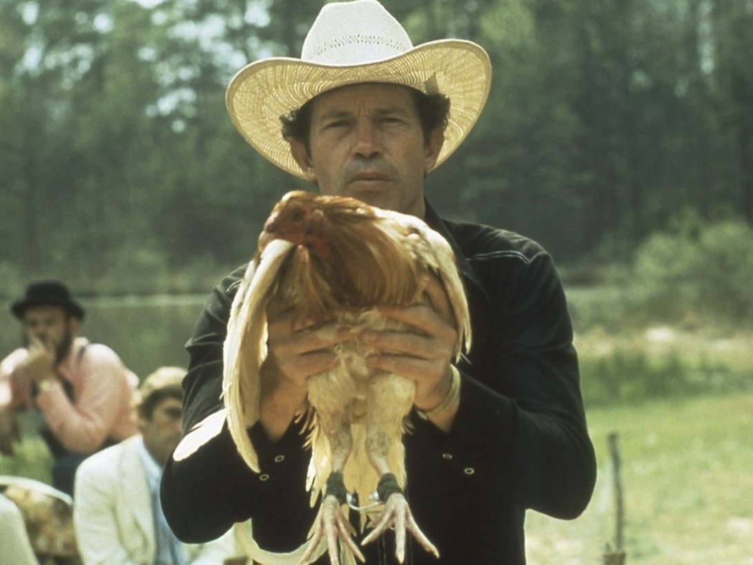 Cockfighter the Film