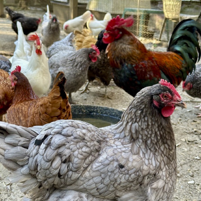 Dottie, Jon Jon & Friends