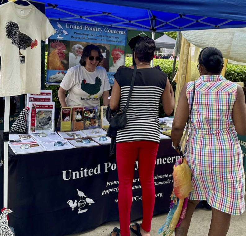 Greenbelt Green Man 1