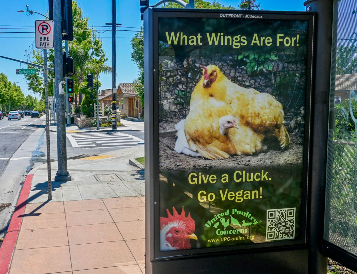 Protesters standing with signs at Lafayette Square, Washington, D.C.
