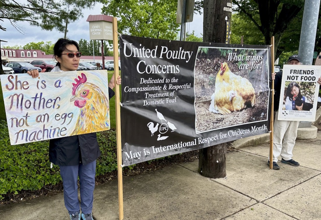 Peaceful demonstration in Olney, MD