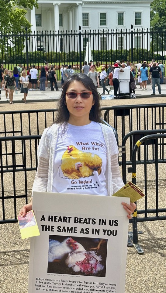 IRCD White House Leafleting 2