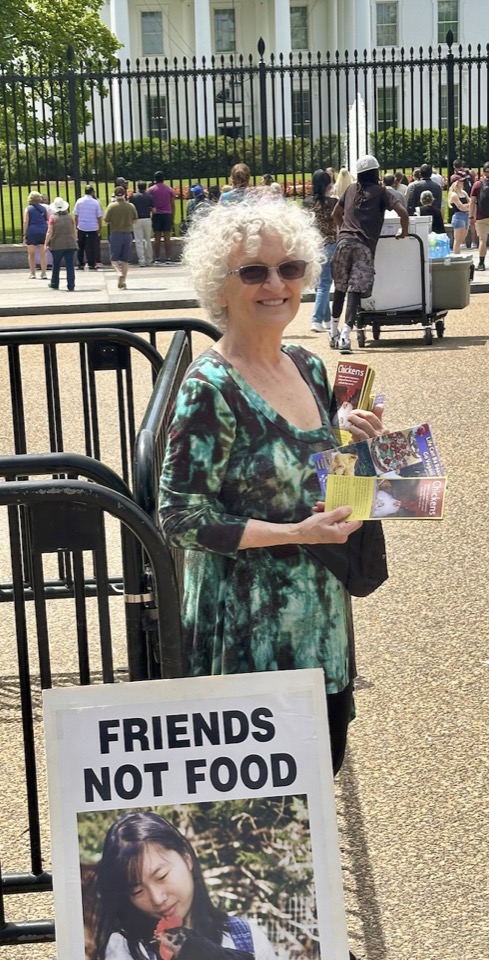 IRCD White House Leafleting 3