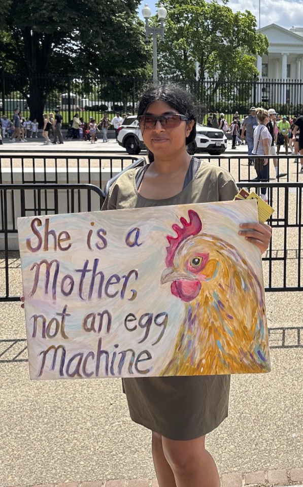 IRCD White House Leafleting 4